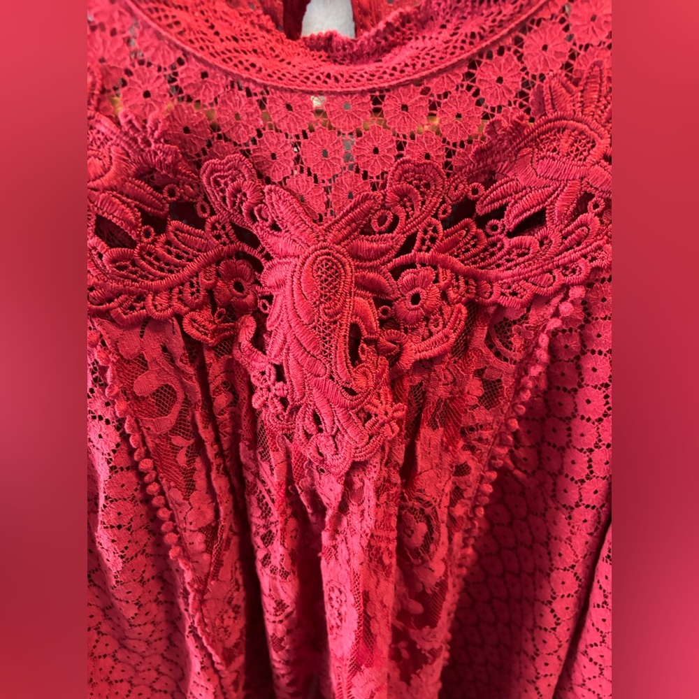 Torrid Mixed Lace High Neck Top Blouse Size 1X Plus Size Victorian Whimsical Red - Picture 8 of 12